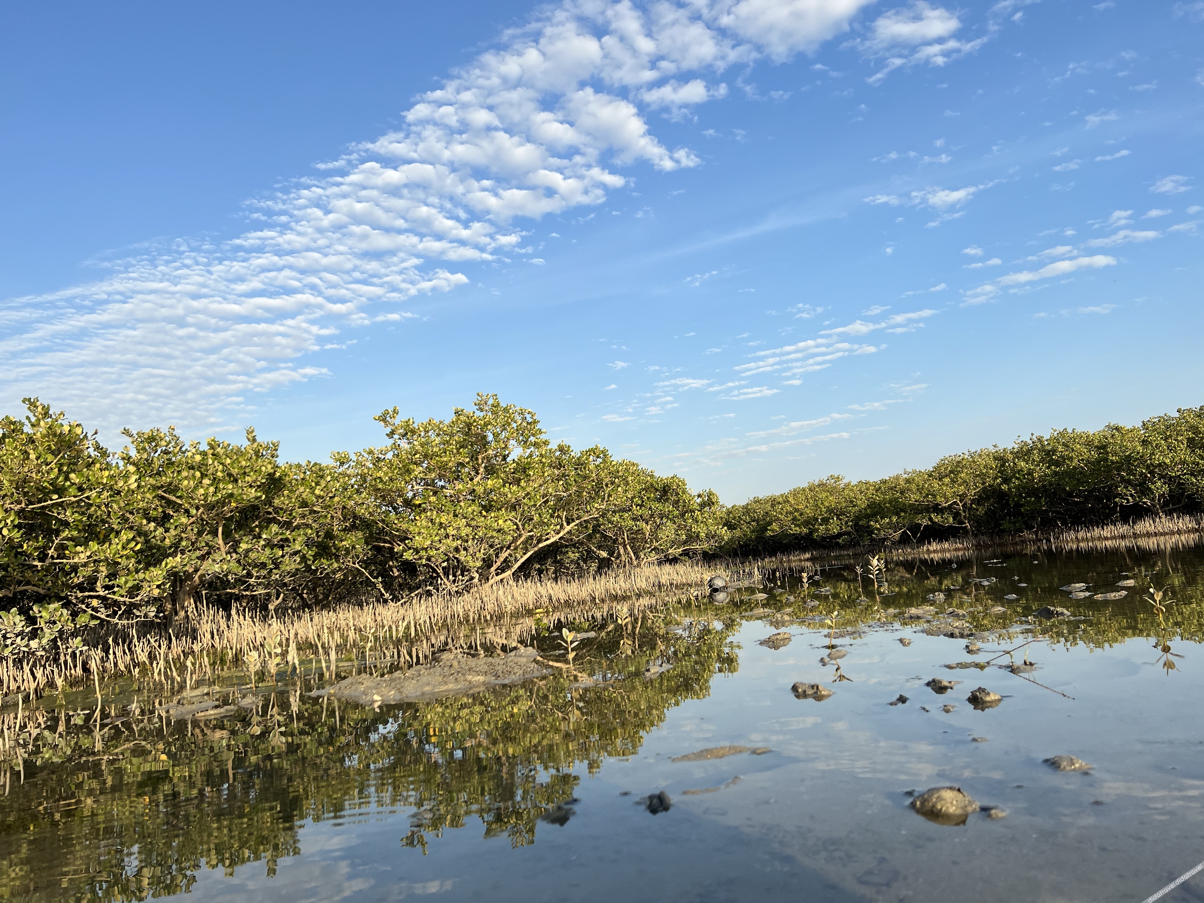 Huayi Boutique Homestay (Beihai Mangrove Ecological Tourist Area) 2*