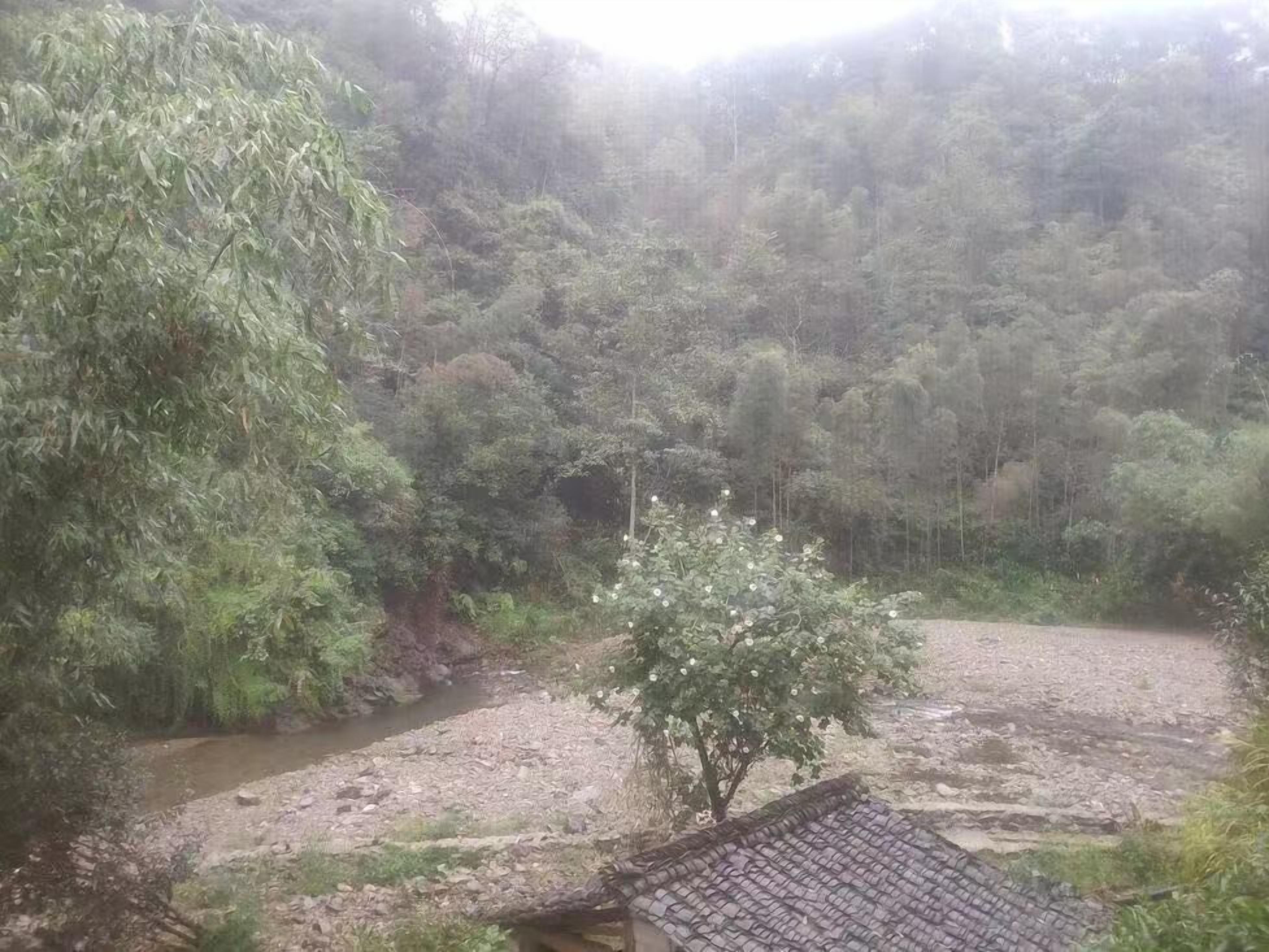 Natural Lodge Homestay 0*