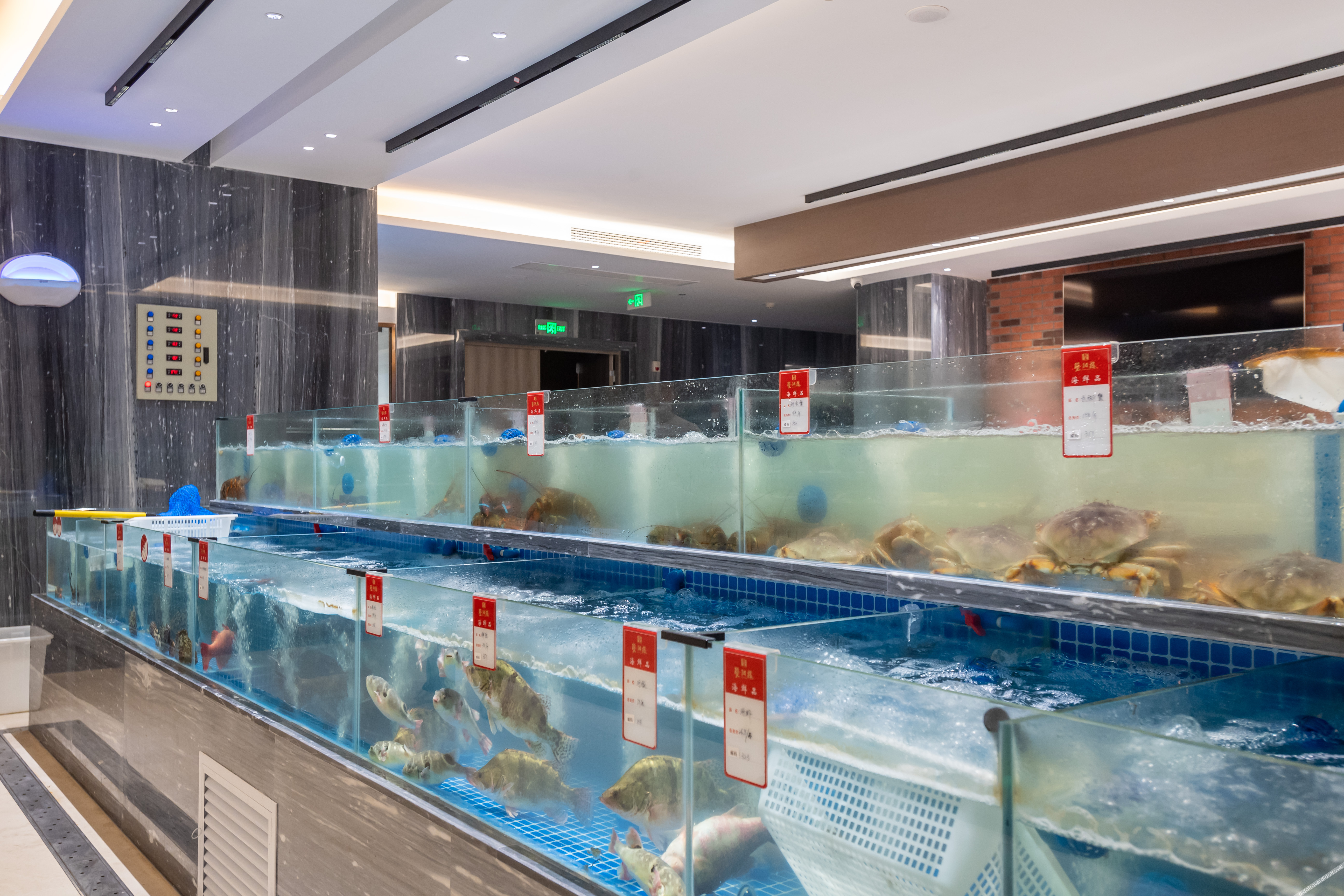 Vienna Hotel (Jiangyin Zhouzhuang Branch) 3*