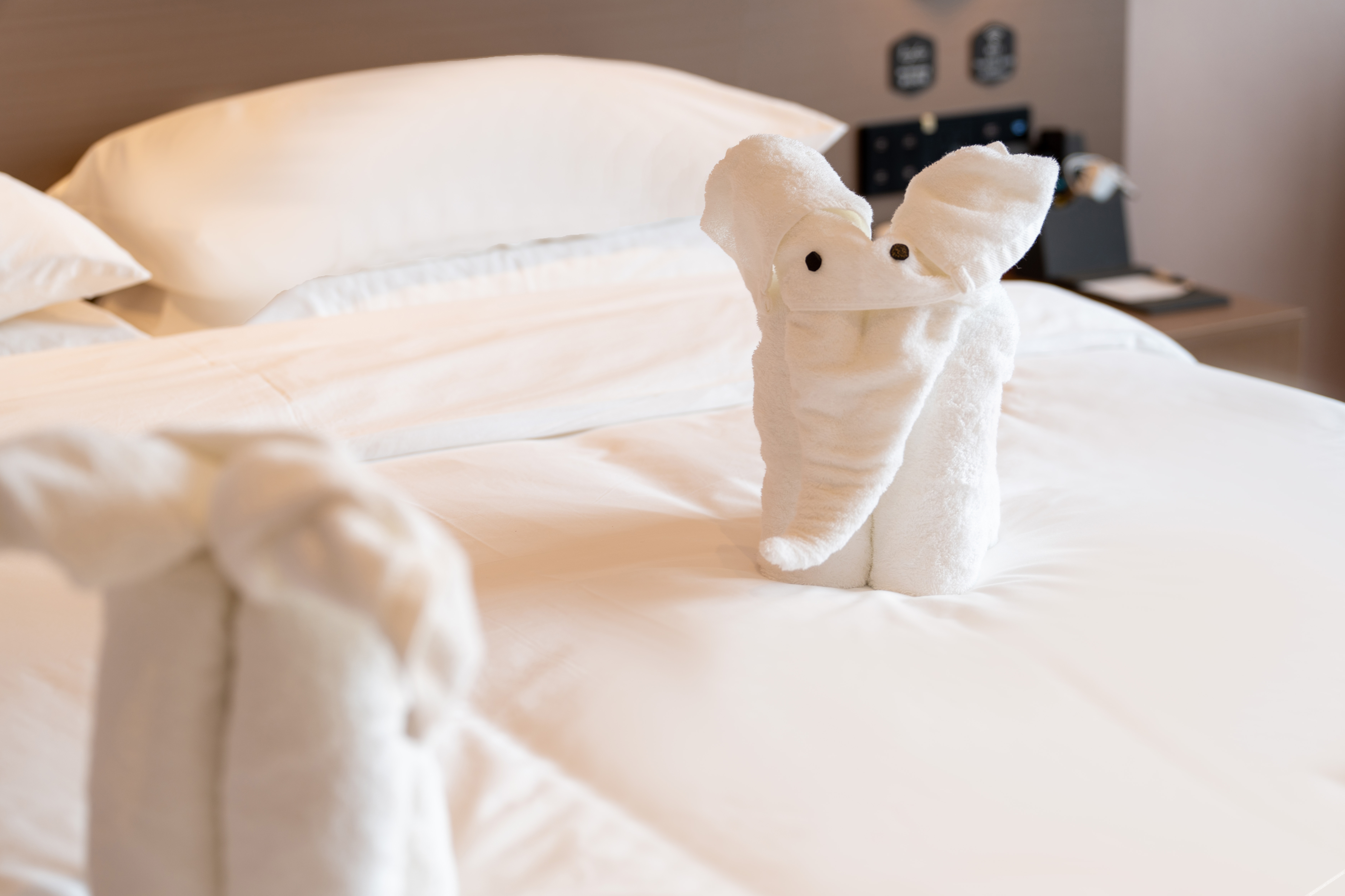 Shankee Coffee Style Hotel (Weilai Avenue) 2*