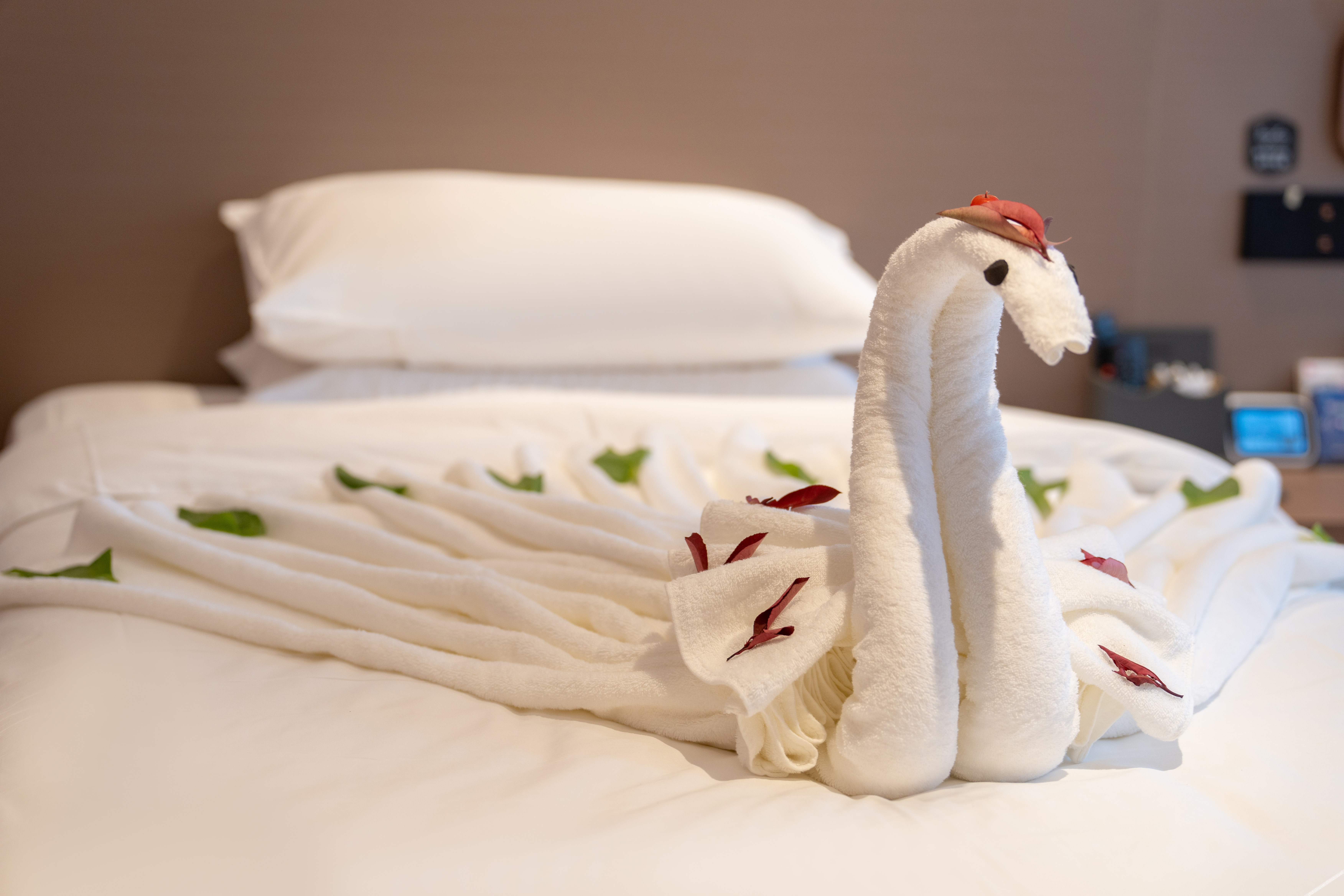 Shankee Coffee Style Hotel (Weilai Avenue) 2*