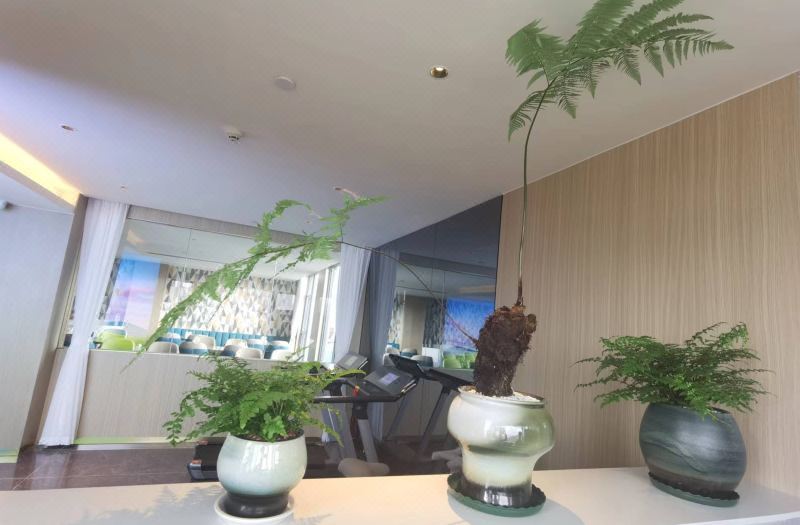 Shenzhen LATOYY HOTEL Hotel (Longyuan Subway Station) 3*