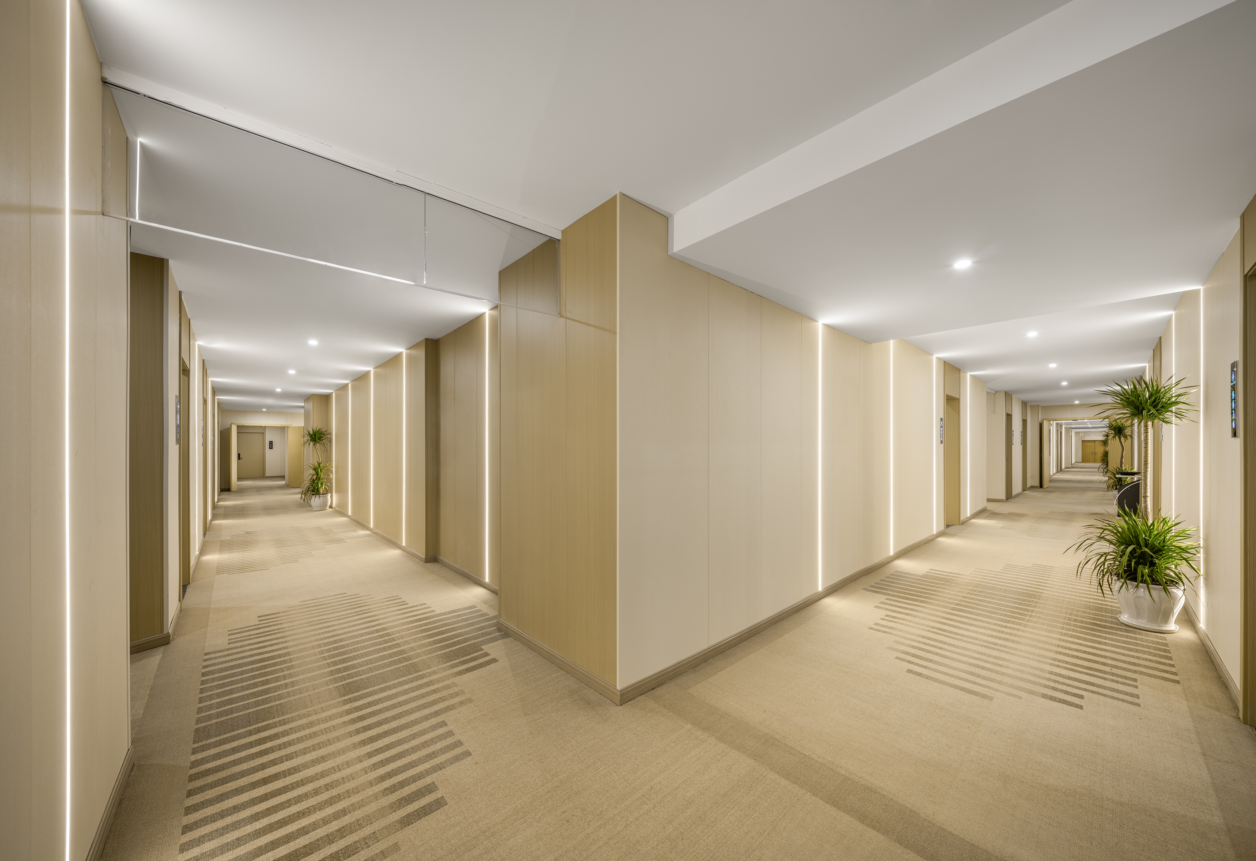 City Cloud S Hotel 3*