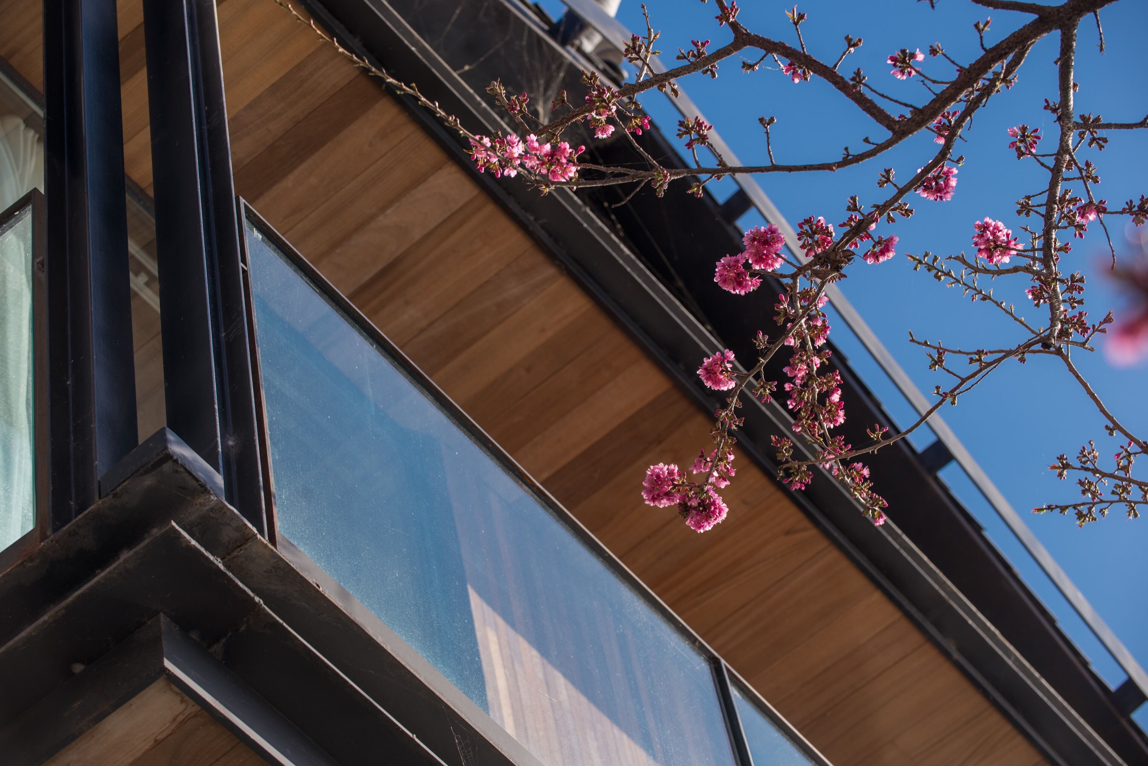 Yakamoz Erhai Hotel 3*