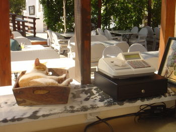 Naxos Summerland resort 3*