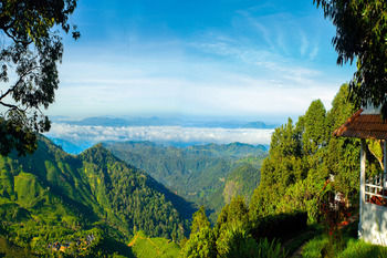Blackberry Hills Munnar - Nature Resort & Spa 4*