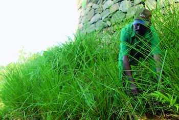 Blackberry Hills Munnar - Nature Resort & Spa 4*