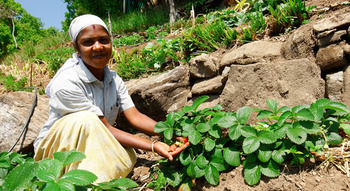 Blackberry Hills Munnar - Nature Resort & Spa 4*
