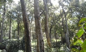 Ambady Estate 3*