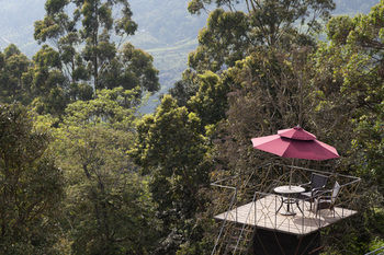 Sterling Munnar 4*
