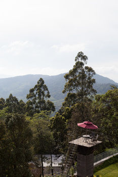 Sterling Munnar 4*