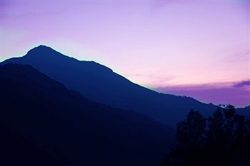 Green Trees Munnar 3*