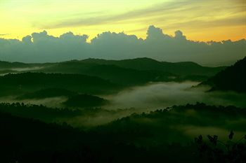 Green Trees Munnar 3*