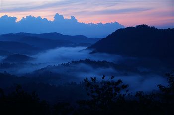 Green Trees Munnar 3*