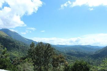 Green Trees Munnar 3*