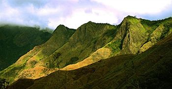 Green Trees Munnar 3*