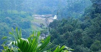 Green Trees Munnar 3*
