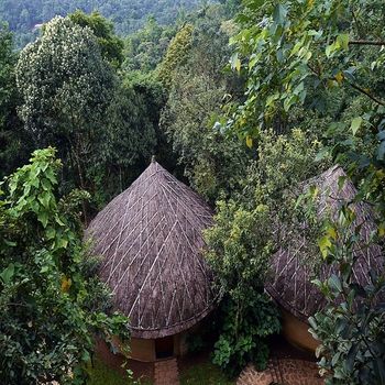 Poetree Thekkady 4*