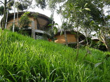 Poetree Thekkady 4*