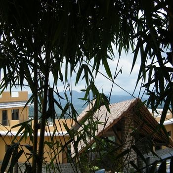 Poetree Thekkady 4*
