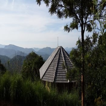 Poetree Thekkady 4*