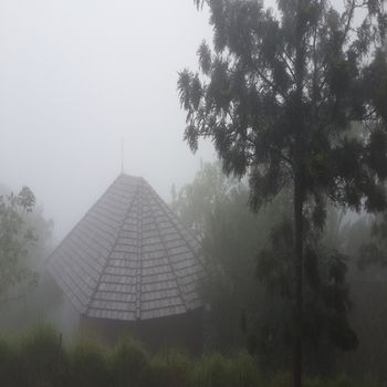 Poetree Thekkady 4*
