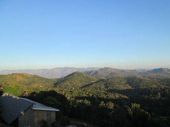Poetree Thekkady 4*