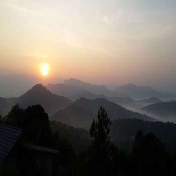 Poetree Thekkady 4*