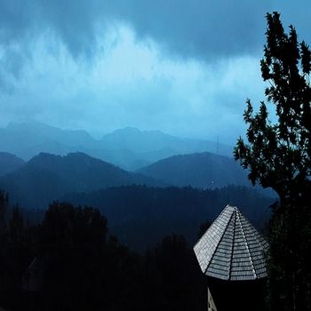 Poetree Thekkady 4*