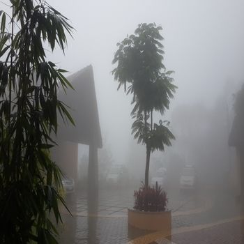 Poetree Thekkady 4*
