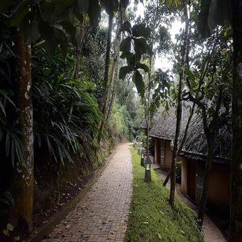 Poetree Thekkady 4*