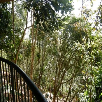 Poetree Thekkady 4*