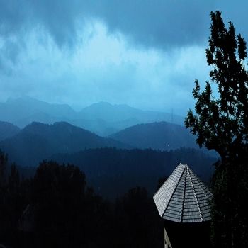 Poetree Thekkady 4*