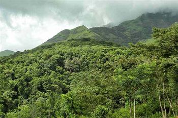 Banasura Hill Resort 3*