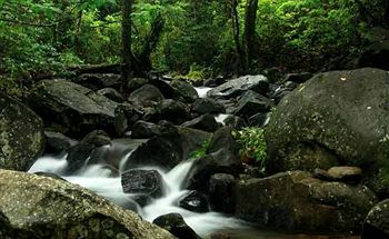 Banasura Hill Resort 3*