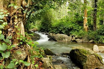 Banasura Hill Resort 3*