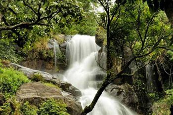 Banasura Hill Resort 3*