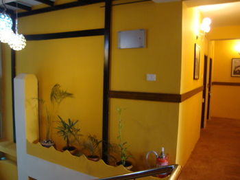 Maya Inn 3*