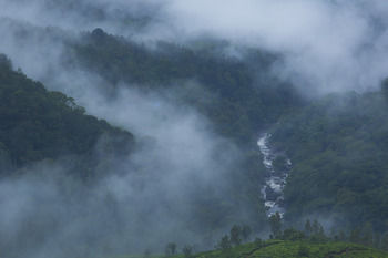 Fragrant Nature Munnar - A Classified Hotel 5*