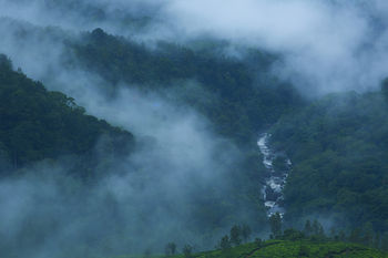 Fragrant Nature Munnar - A Classified Hotel 5*