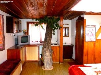 Double Tree Villa 2*