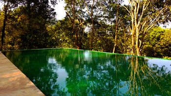Wayanad Wild Rainforest lodge by CGH Earth 3*
