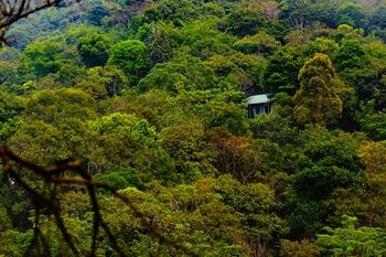 Wayanad Wild Rainforest lodge by CGH Earth 3*