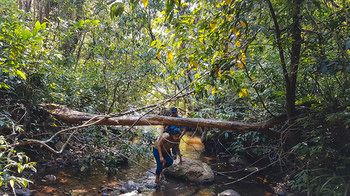 Wayanad Wild Rainforest lodge by CGH Earth 3*