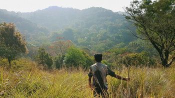 Wayanad Wild Rainforest lodge by CGH Earth 3*
