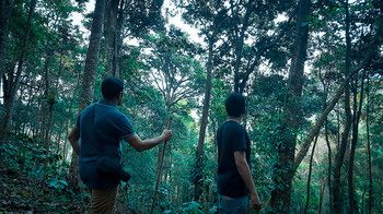 Wayanad Wild Rainforest lodge by CGH Earth 3*