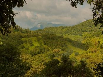 Wayanad Wild Rainforest lodge by CGH Earth 3*