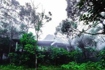 Wayanad Wild Rainforest lodge by CGH Earth 3*