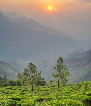 Shola Crown Resort - Munnar 4*