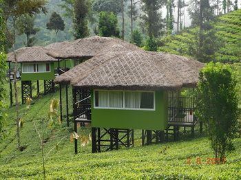 Wild Planet Resort 4*
